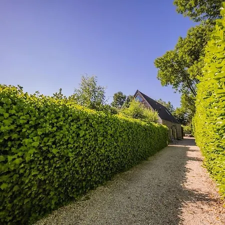 Apartment Wonderful 50m2 Loft - Ks8