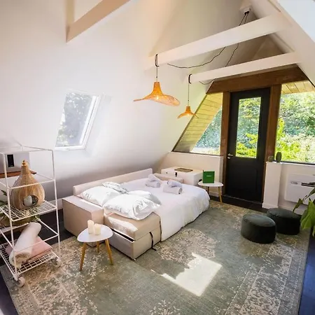 아파트 Wonderful 50m2 Loft - Ks8 에인트호번