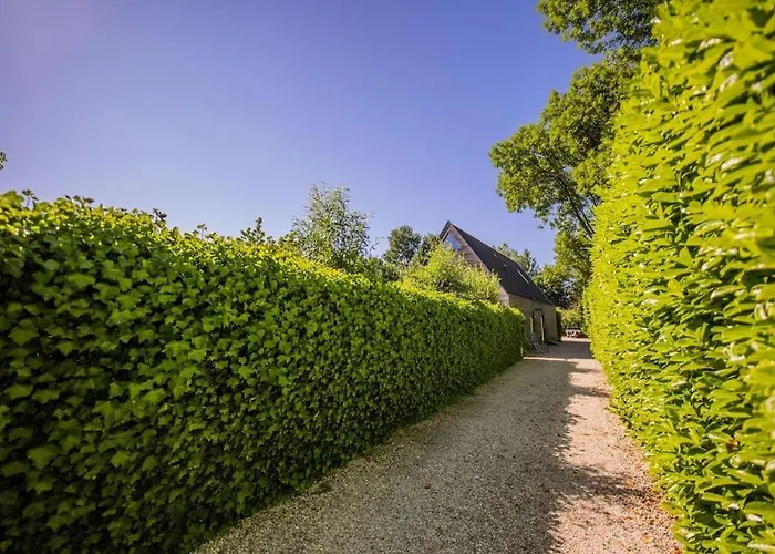 Lägenhet Wonderful 50m2 Loft - Ks8