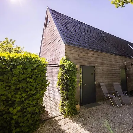 Wonderful 50m2 Loft - Ks8 Apartment *