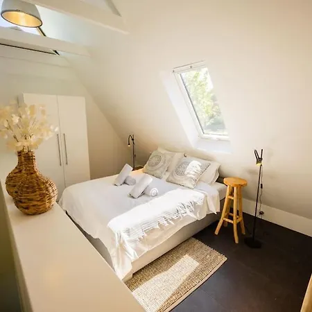 Apartment Wonderful 50m2 Loft - Ks8 *